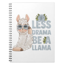 MINDRE DRAMA, VAR EN LLAMA!