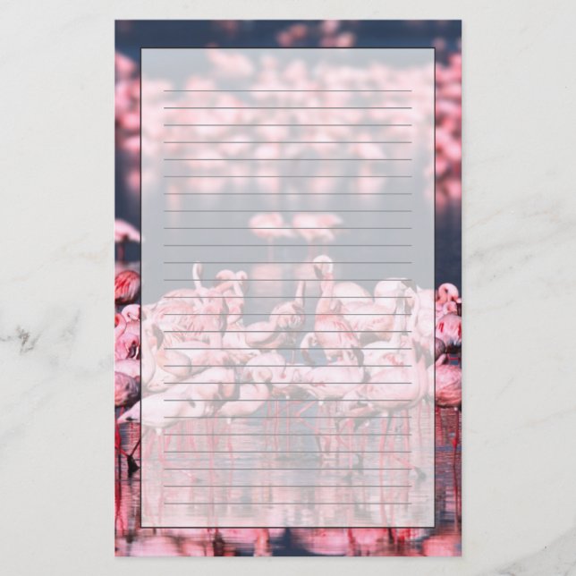 Mindre flamingos (Phoeniconaias minor), Afrika, Brevpapper (Framsida)