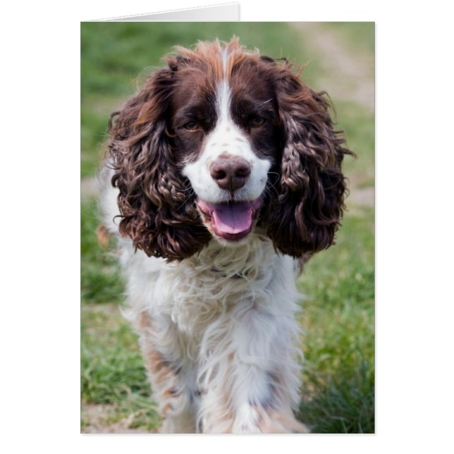 Mindre promenader.png hälsningskort (Framsidan)