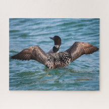 Mindre vanligt Loon-pussel