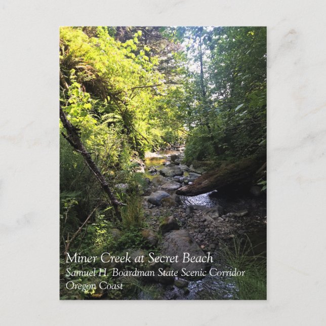 Miner Bäck, Samuel H. Boardman, ELLER Vykort (Framsida)