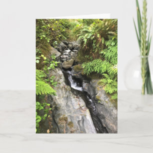 Miner Creek, Samuel H. Boardman, OR Kort
