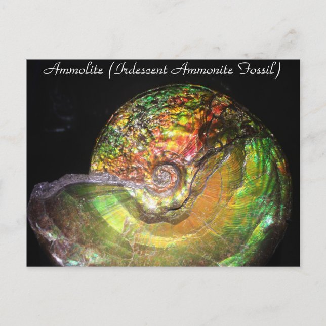 Mineraler och grammofoner nr 127 vykort (Framsida)