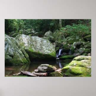 Mineraliska Bäck reflektioner Poster