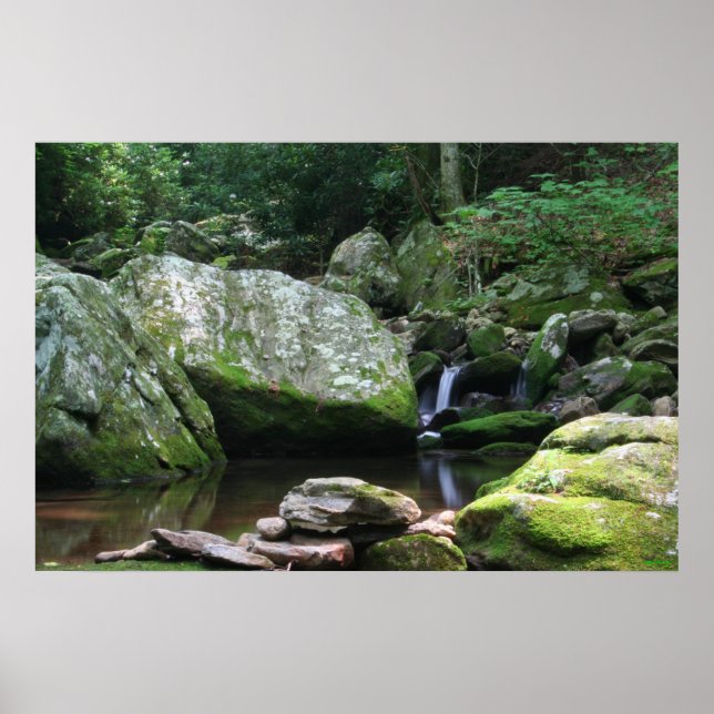 Mineraliska Bäck reflektioner Poster (Framsidan)