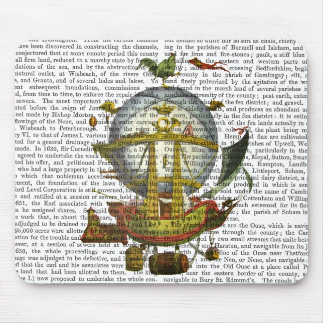 Minerv Luftballong Musmatta (Framsidan)