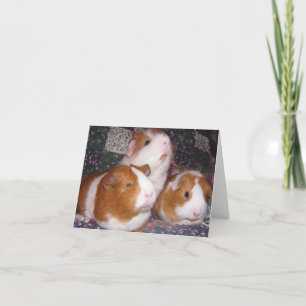 Minerva och vänner Notecard Kort