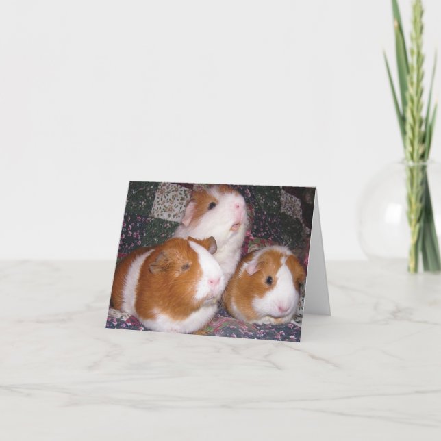 Minerva och vänner Notecard Kort (Framsida)