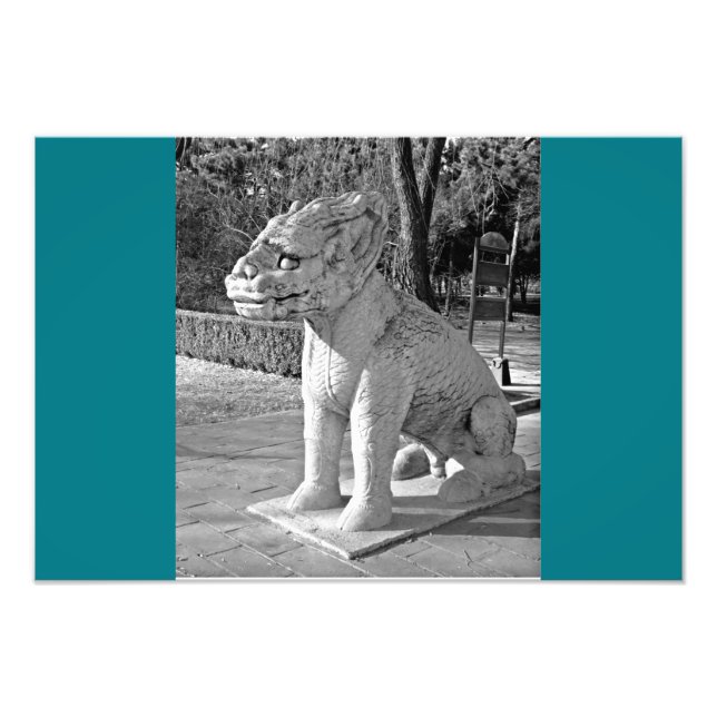 Ming Grav Dragon B&W Fototryck (Framsidan)