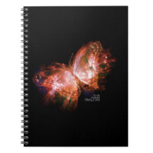 MING-VERKLIGHETBOK EN: MING-FJÄRILSANTECKNINGSBOK