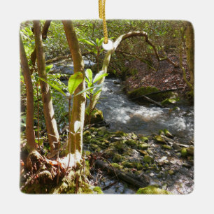 Mingus Creek i Smoky Mountains Julgransprydnad Keramik