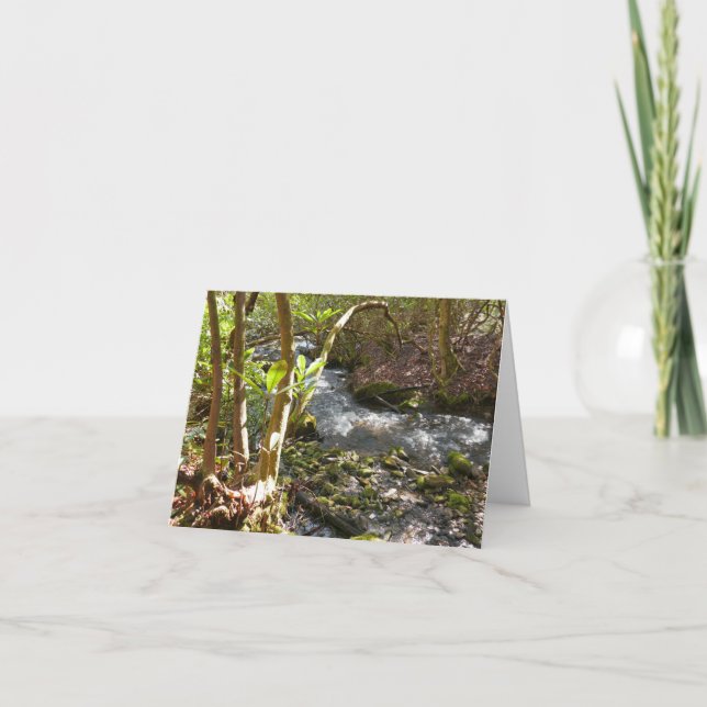 Mingus Creek i Smoky Mountains Kort (Framsida)