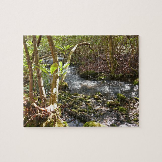 Mingus Creek i Smoky Mountains Pussel (Horisontell)