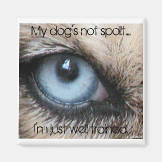 Minhundarna är inte förstörda, jag är bara välutbi magnet