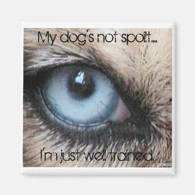 Minhundarna är inte förstörda, jag är bara välutbi magnet (Framsidan)