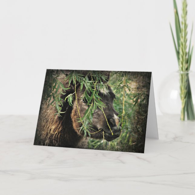 Mini är Onery, födelsedag Kort (Framsida)
