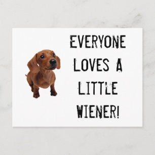 Mini Dachshund Little Wiener Postcard Vykort