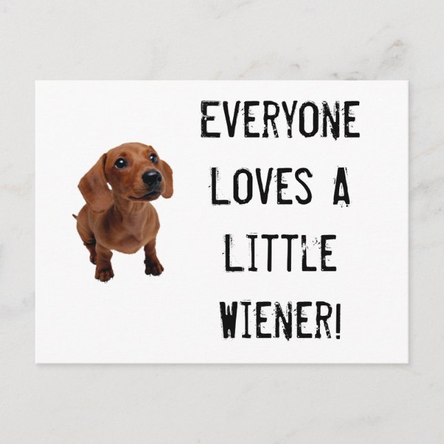 Mini Dachshund Little Wiener Postcard Vykort (Framsida)