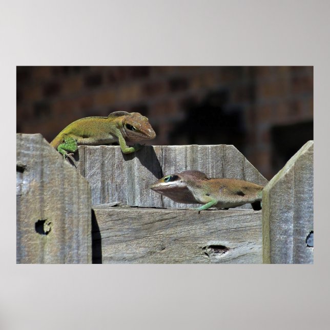 Mini Dragon Battle Poster (Framsidan)