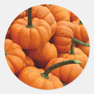 Mini Fall Pumpkin Photo Runt Klistermärke
