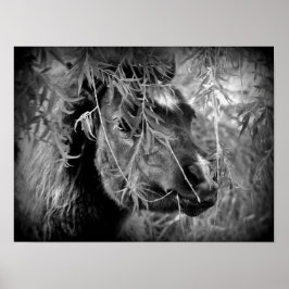 Mini Filly Is Onery Poster