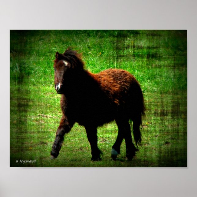 Mini Filly Poster (Framsidan)