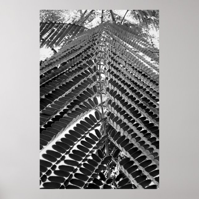 mini folhas - P&B Poster (Framsidan)