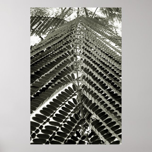 mini folhas poster (Framsidan)