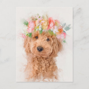 Mini Goldendoodle Hund Flower Krona Porträtt Vykort