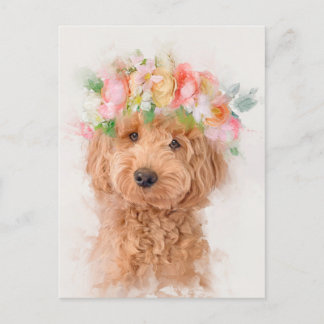 Mini Goldendoodle Hund Flower Krona Porträtt Vykort