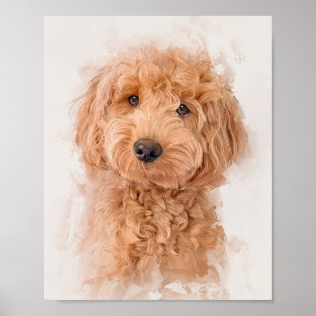 Mini Goldendoodle Hund Porträtt Poster (Framsidan)