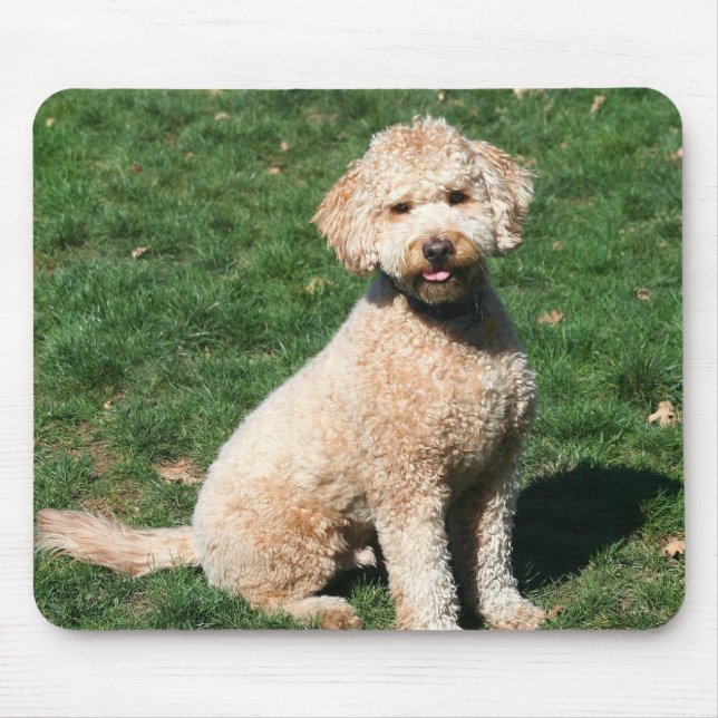Mini- Goldendoodle valpmousepad Musmatta (Framsidan)