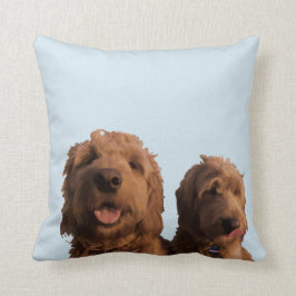 Mini Goldendoodles Kudde