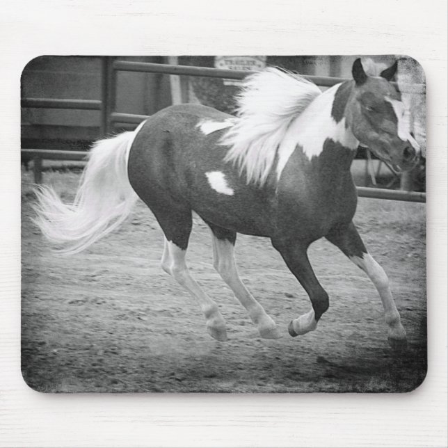 Mini Horse Gallops Musmatta (Framsidan)