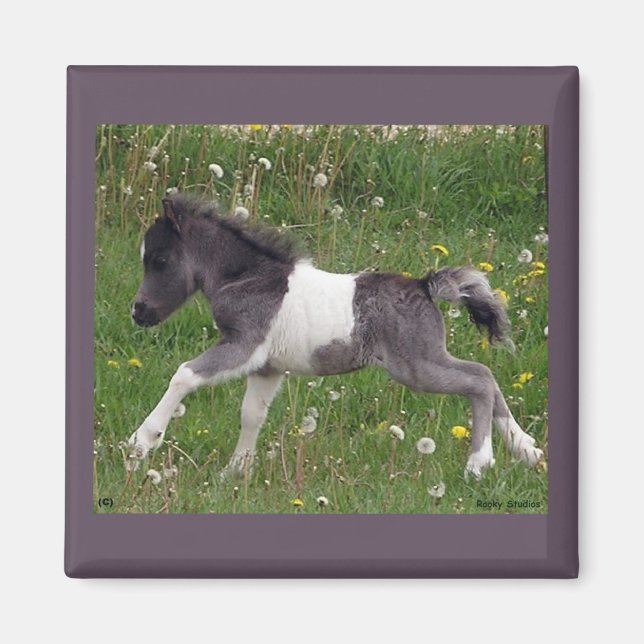Mini Horse Magnet (Framsidan)
