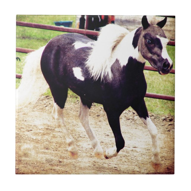 Mini Horse på Liberty Kakelplatta (Framsidan)