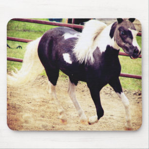 Mini Horse på Liberty Musmatta