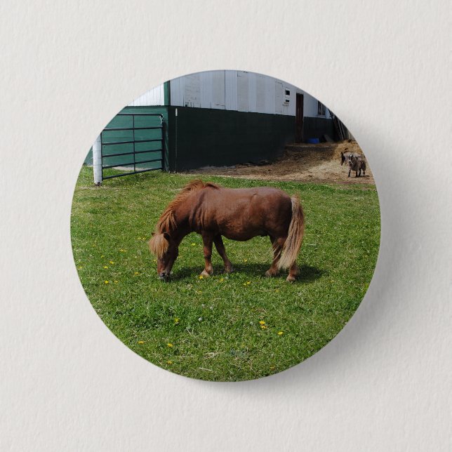 MIni Horses Knapp (Framsida)