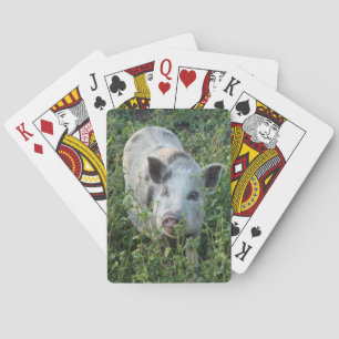 Mini Juliana Pet Gris Casinokort