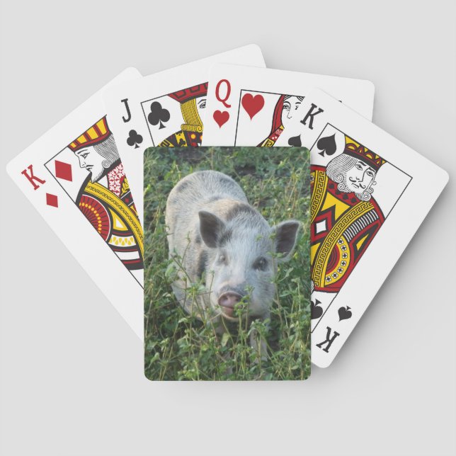 Mini Juliana Pet Gris Casinokort (Baksidan)
