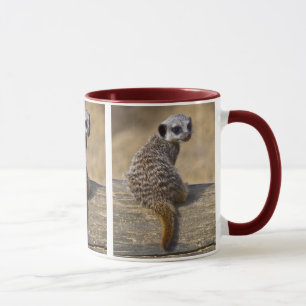Mini Kat Mug Mugg