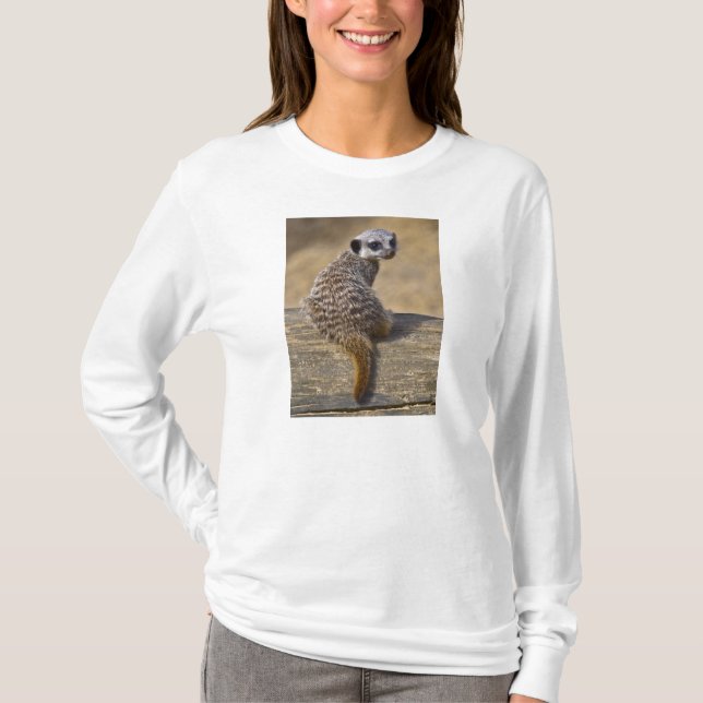Mini Kat Tea Tee Shirt (Framsida)