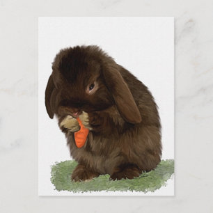 Mini Lop Bunny och morot Vykort