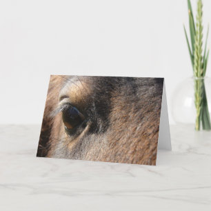 Mini Mare Öga Kort