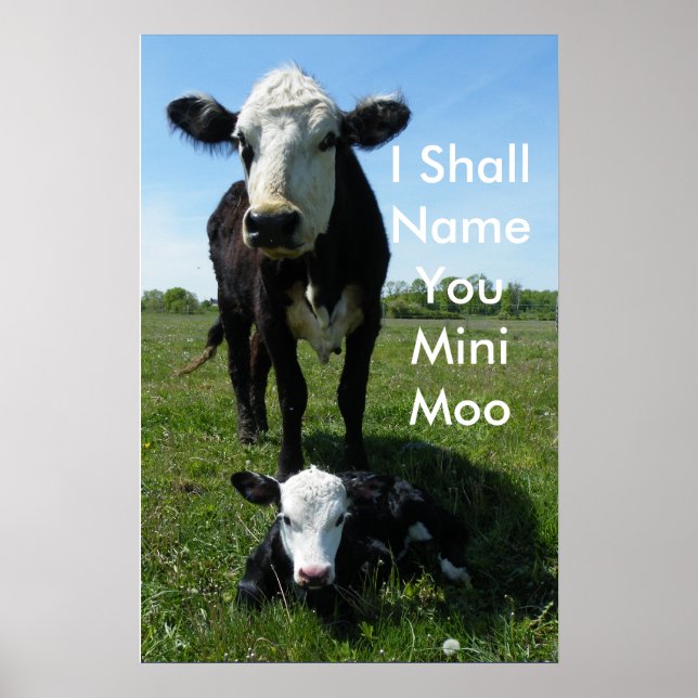 Mini-Moo Poster (Framsidan)