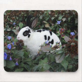 Mini- mousepad för Rex kaninkanin Musmatta
