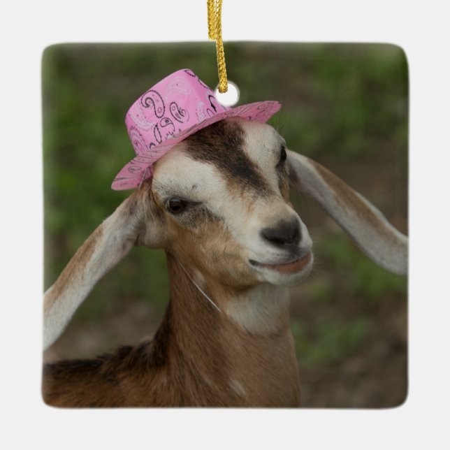 Mini Nubian Dairy Goat i en Rosa Cowgirl Hat Julgransprydnad Keramik (Framsida)