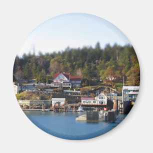 Mini- Orcas! Magnet
