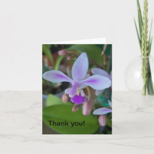Mini orchid nära kort