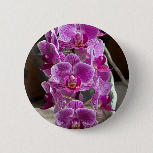 Mini Phalaenopsis Sogo Vivien Lila Orchid Flower Knapp (Framsida)
